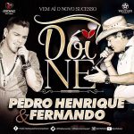 pedro henrique e fernando